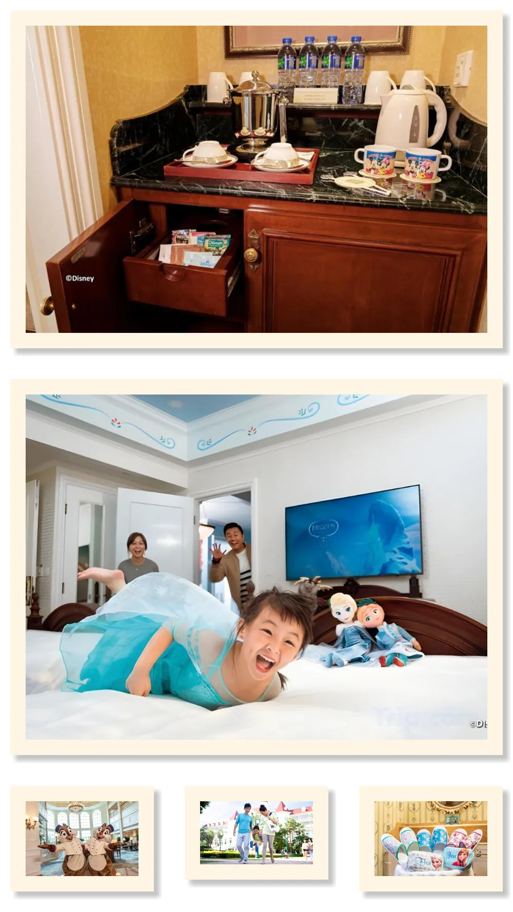 Hong Kong Disneyland Hotel 호텔 기타 이미지
