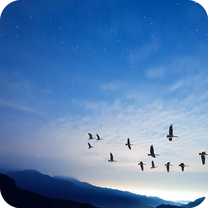 Hotel COZi·Wetland 호텔 시설 이미지