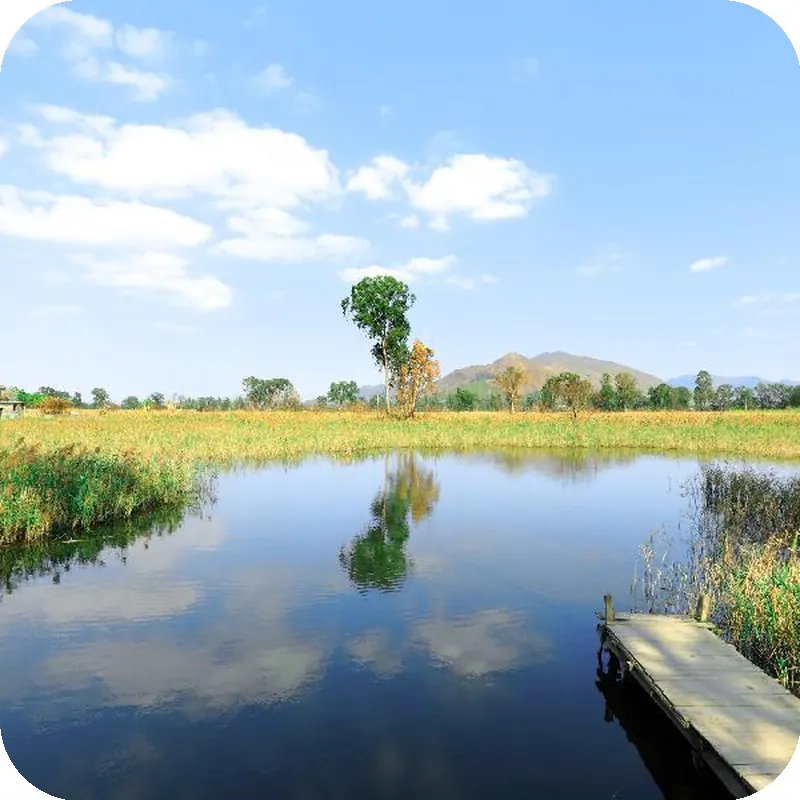 Hotel COZi·Wetland 호텔 시설 이미지