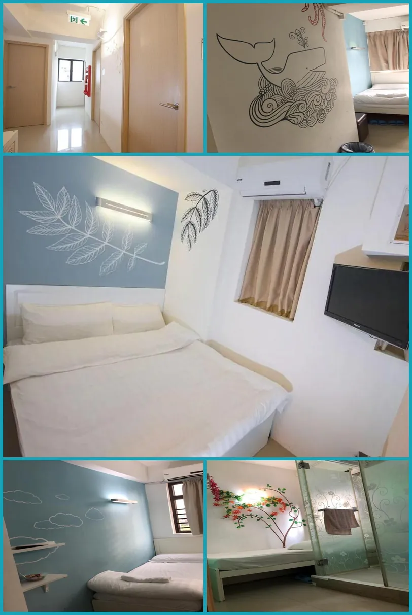 Starfish Hostel 호텔 기타 이미지