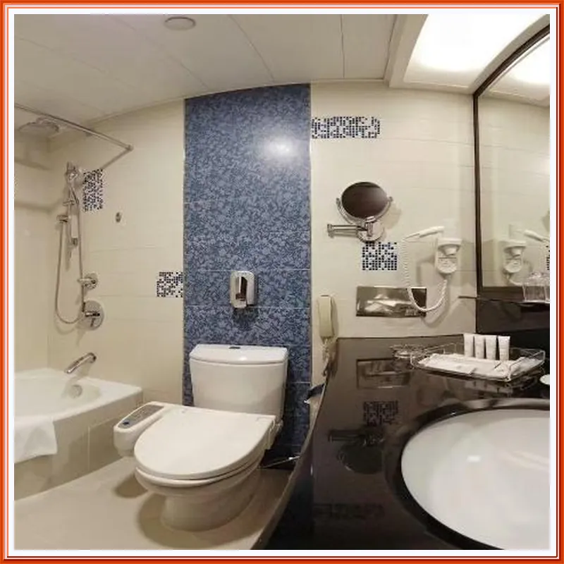 South Pacific Hotel 호텔 시설 이미지