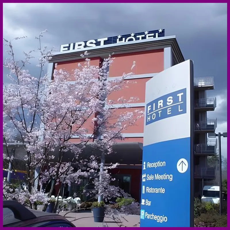 First Hotel Malpensa hotel view