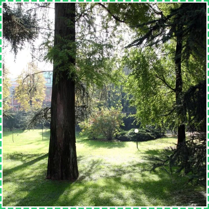 Hotel Tiziano Gruppo Minihotel hotel view