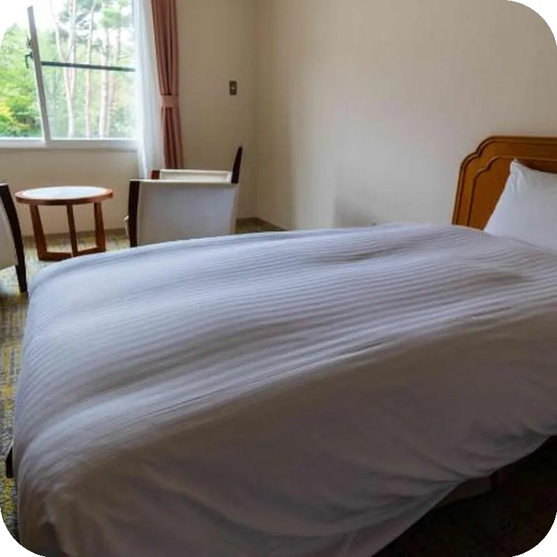 Motosu View Hotel hotel room