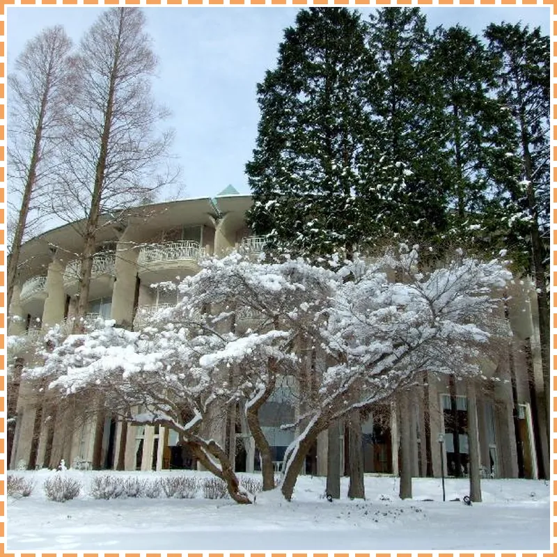 The Prince Hakone Lake Ashinoko hotel view