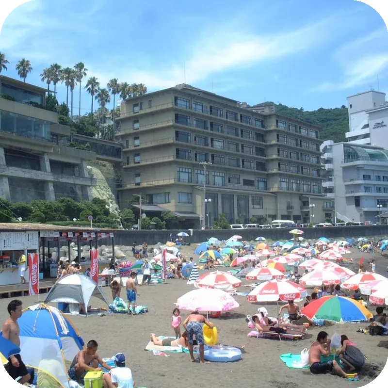 Atagawakan Hotel hotel view