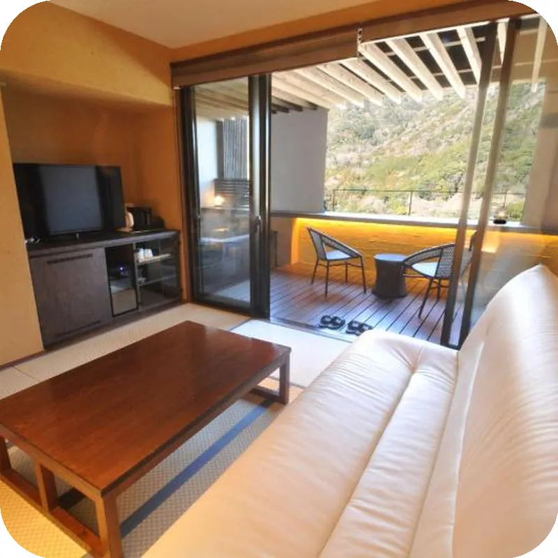 Ryokan Aura Tachibana hotel view