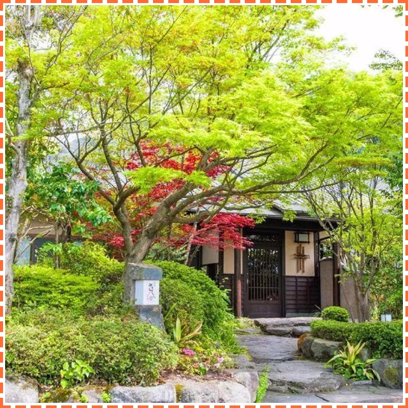 Oyado Sakuratei hotel facilities