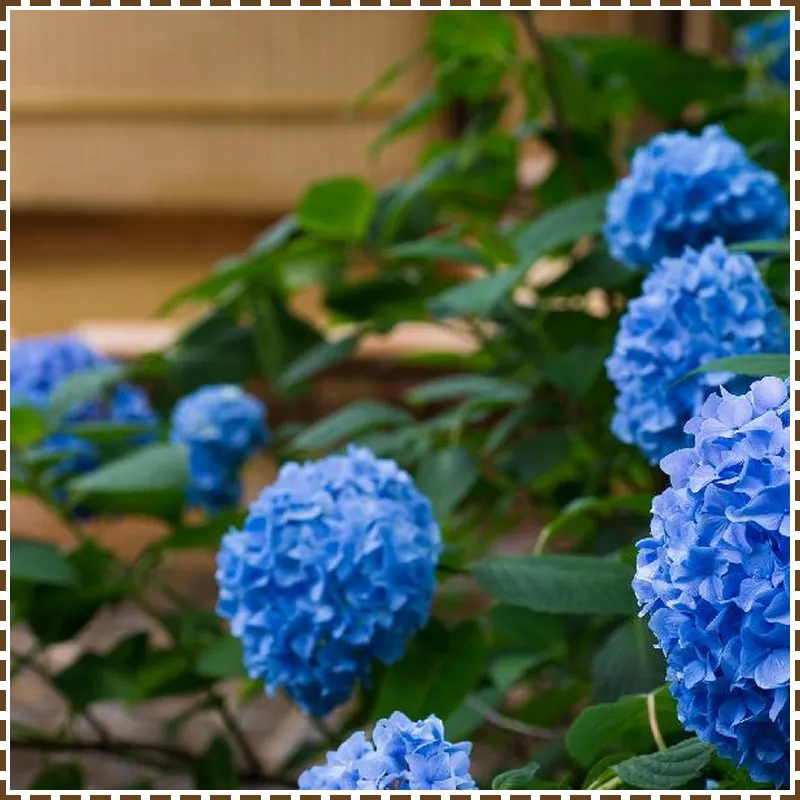 Arima Onsen Motoyu Ryuusenkaku hotel view