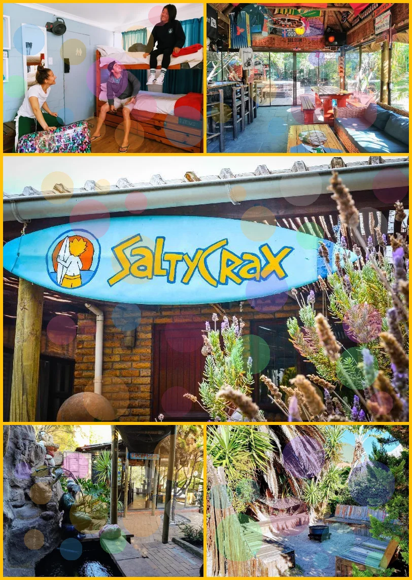 Saltycrax Backpackers 메인 이미지