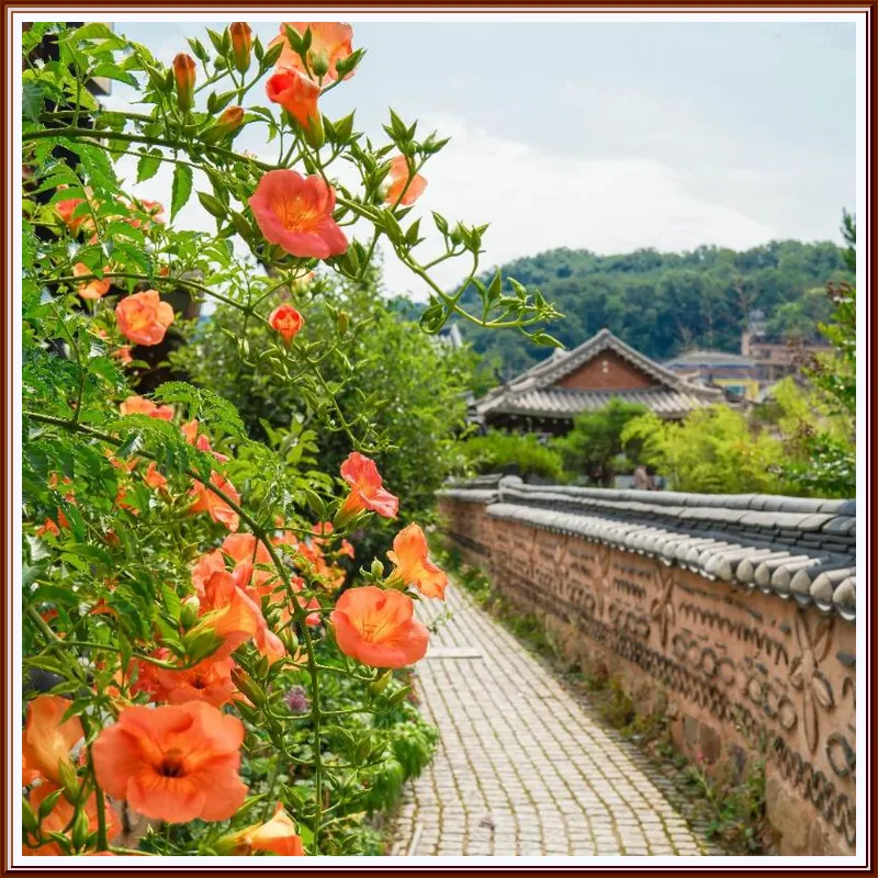 jeonjuhanogmaeul ilragdangsarangcae hotel facilities