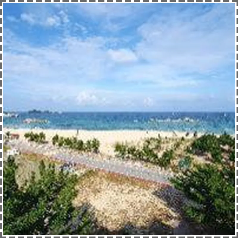 Ocean to You Resort Sokcho Seorak Beach Hotel and Condo hotel facilities