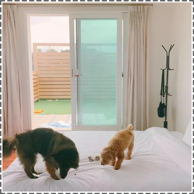 Ocean to You Resort Sokcho Seorak Beach Hotel and Condo hotel room