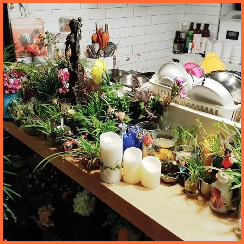 Red-Lighthouse Guest House hotel facilities