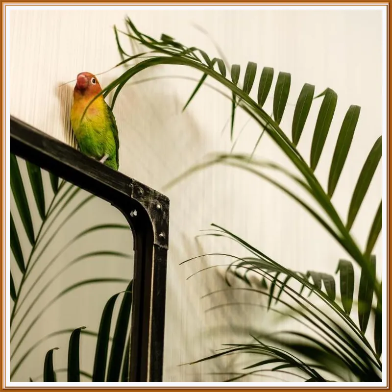 Clement Barajas hotel facilities