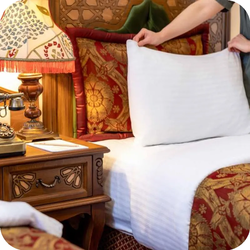 Hotel Sultanhan - Special Category hotel room