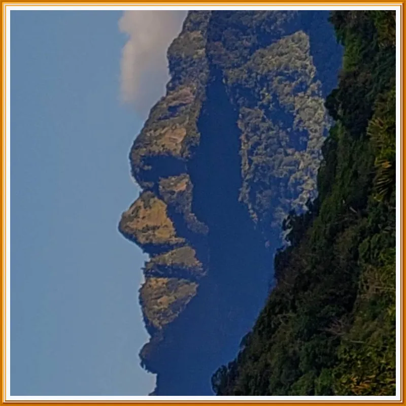 Crabs House 호텔 이미지