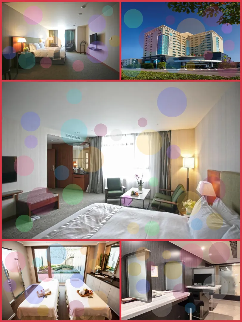 Taichung Harbor Hotel 호텔 기타 이미지