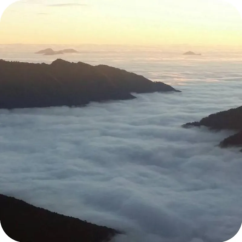 Bluesky Garden 호텔 시설 이미지