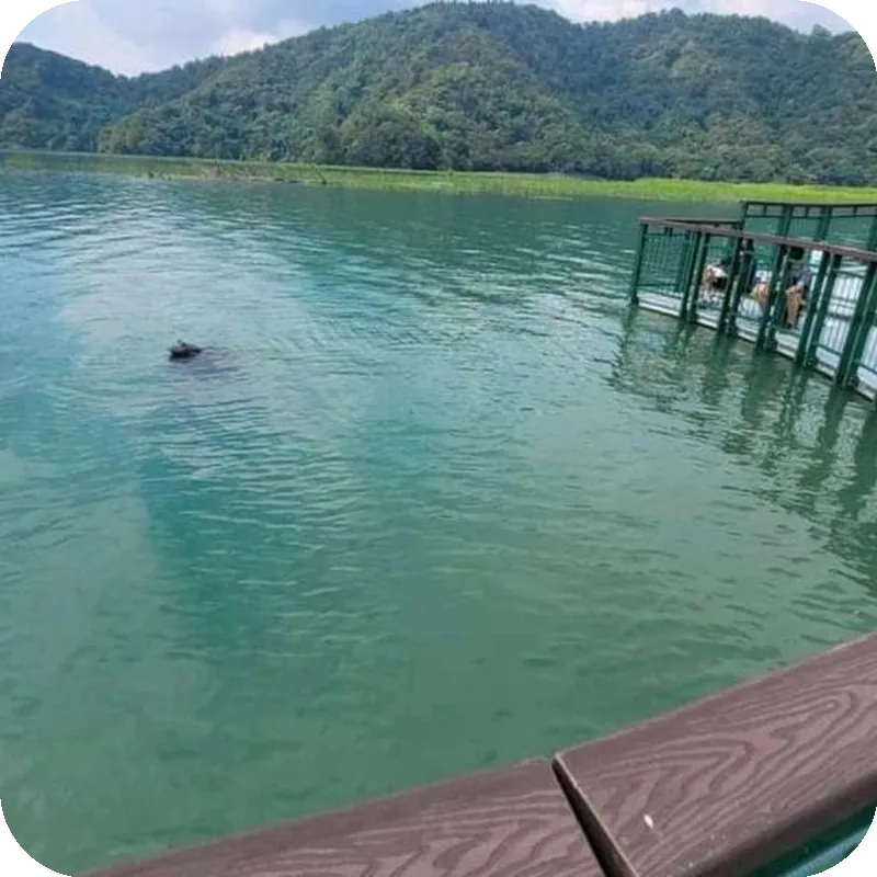 Sun Moon Lake Youth Activity Center Hostel 호텔 시설 이미지