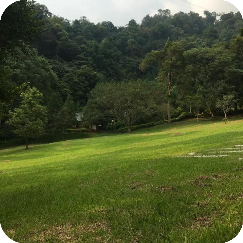 Sun Moon Lake Youth Activity Center Hostel 호텔 이미지