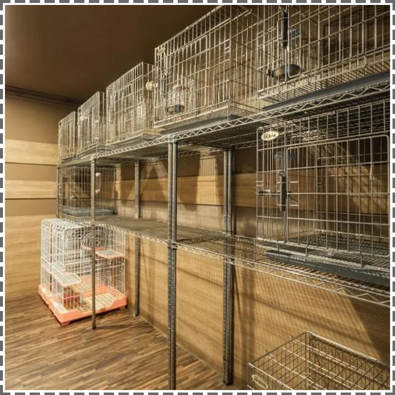 Kindness Hotel Hualien 호텔 시설 이미지