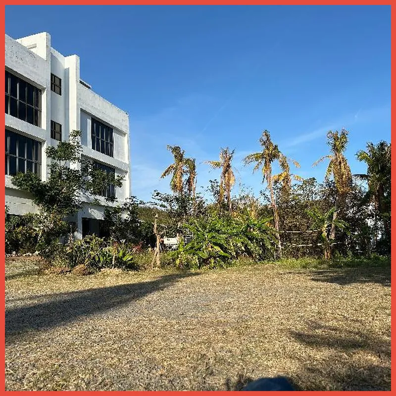 Baisha 35 Homestay 호텔 이미지