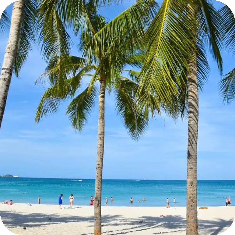 Four Points by Sheraton Phuket Patong Beach Resort hotel facilities