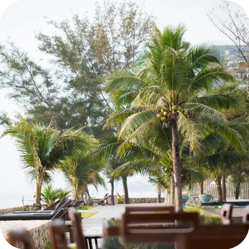 Siambeach Hua Hin Resort hotel view