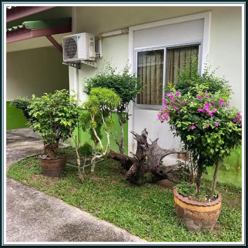 The Green Forest Resort hotel facilities