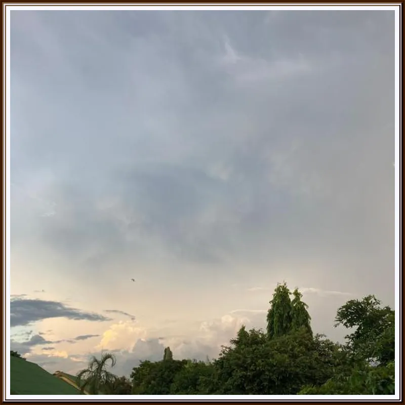 The Green Forest Resort hotel view