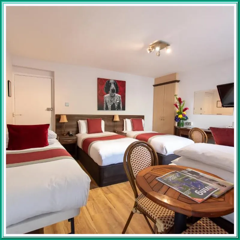 New Steine Hotel hotel facilities