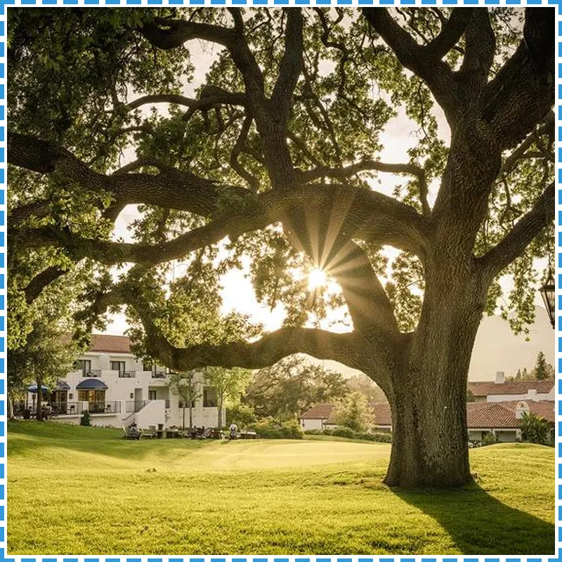 Ojai Valley Inn hotel view
