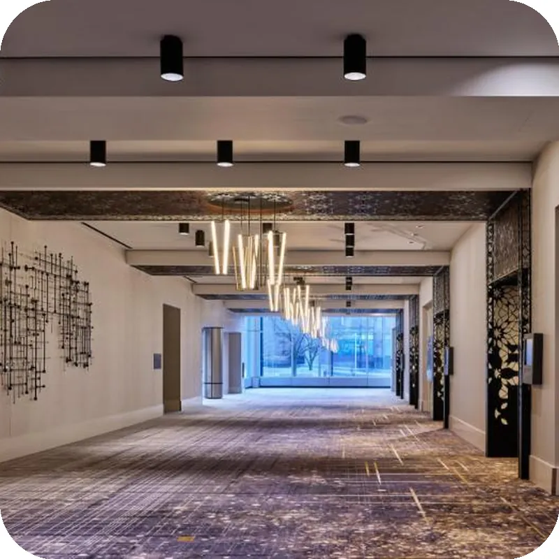 Loews Chicago Hotel hotel view