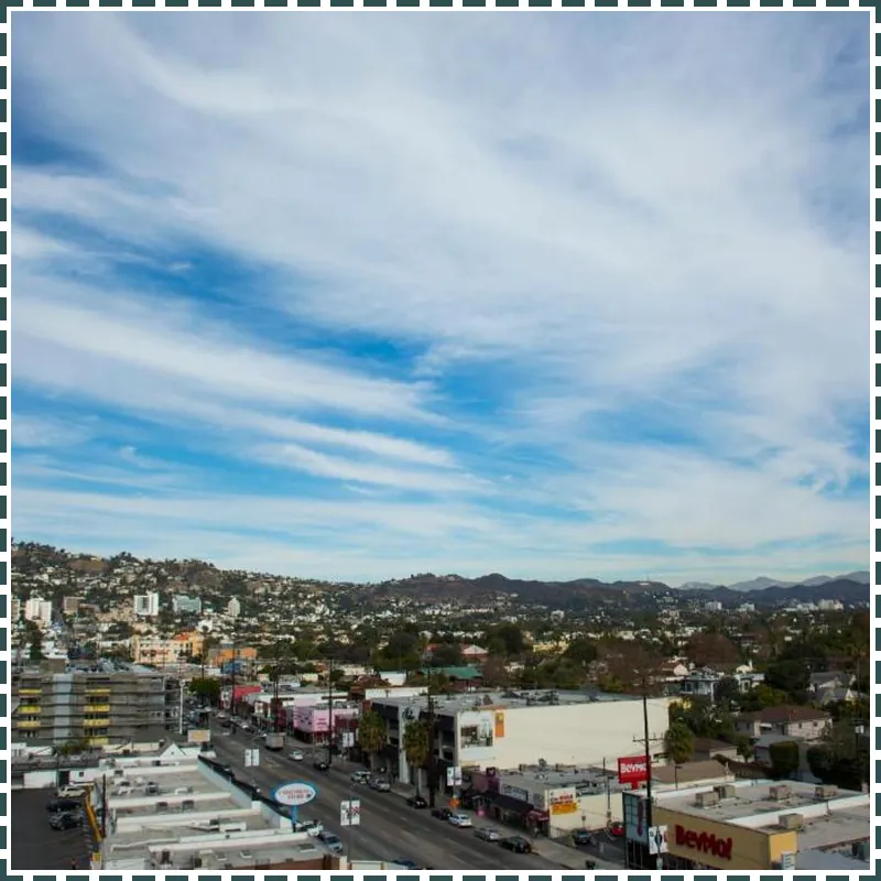 Sofitel Los Angeles at Beverly Hills Hotel hotel view