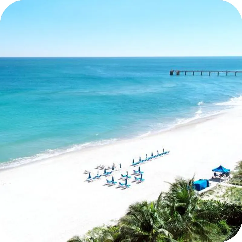 Sole Miami A Noble House Resort hotel view