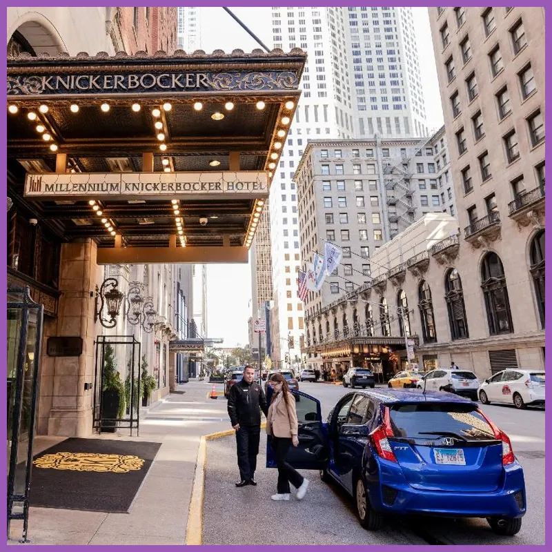 Millennium Knickerbocker Chicago hotel view