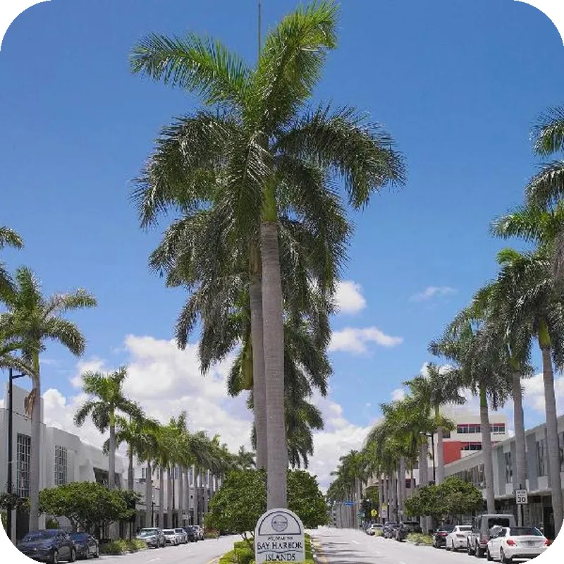 Grand Beach Hotel Bay Harbor hotel view