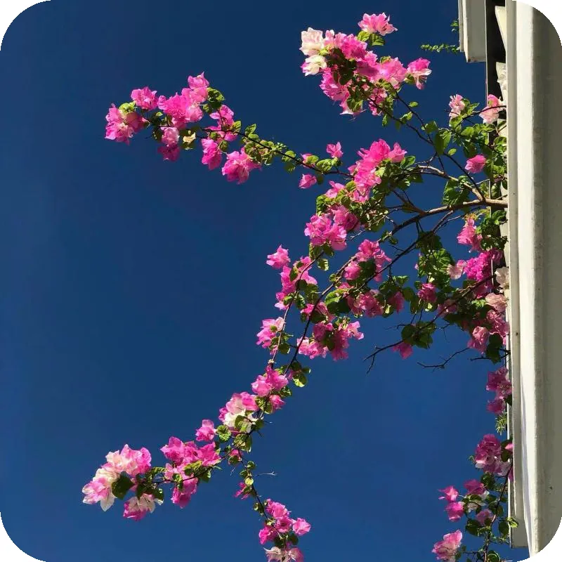 ROSETTA HOTEL PHU QUOC hotel facilities